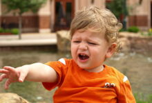 Surviving the Terrible Twos Without Losing Your Mind